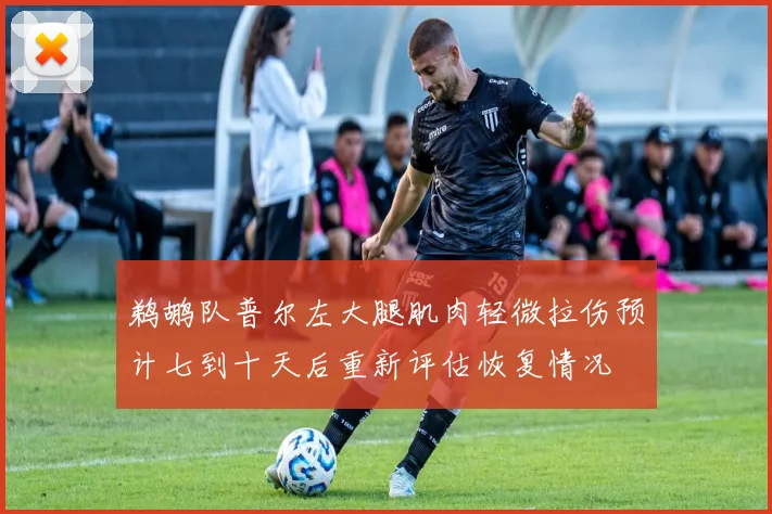 鹈鹕队普尔左大腿肌肉轻微拉伤预计七到十天后重新评估恢复情况