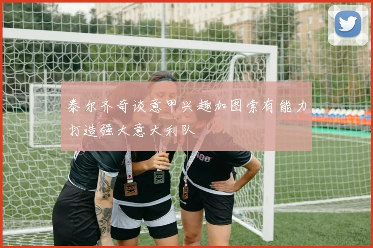 泰尔齐奇谈意甲兴趣加图索有能力打造强大意大利队