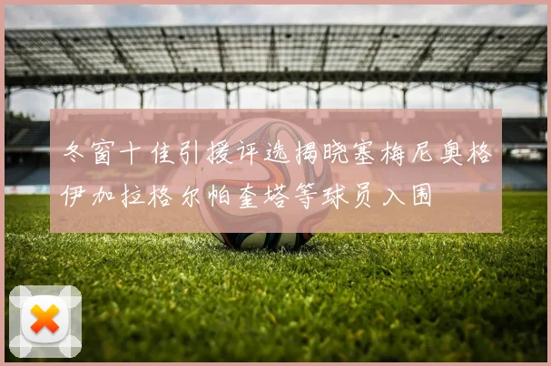 冬窗十佳引援评选揭晓塞梅尼奥格伊加拉格尔帕奎塔等球员入围